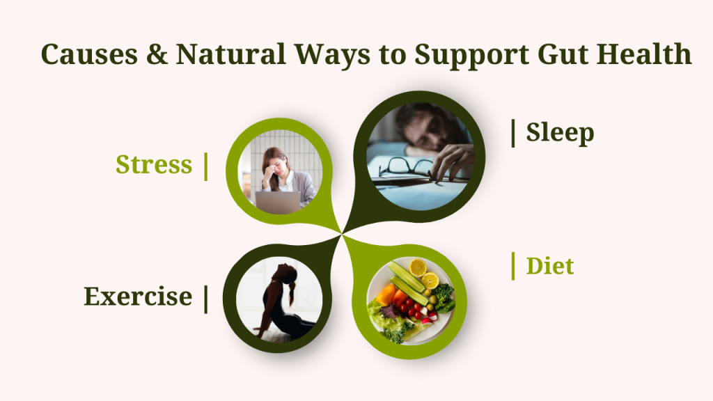 8 Signs Your Gut May Be Unhealthy (Red Flags for Families) - All Naturalist Wellness 8 Signs Your Gut May Be Unhealthy